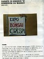 01 Expo Bonsai.jpg